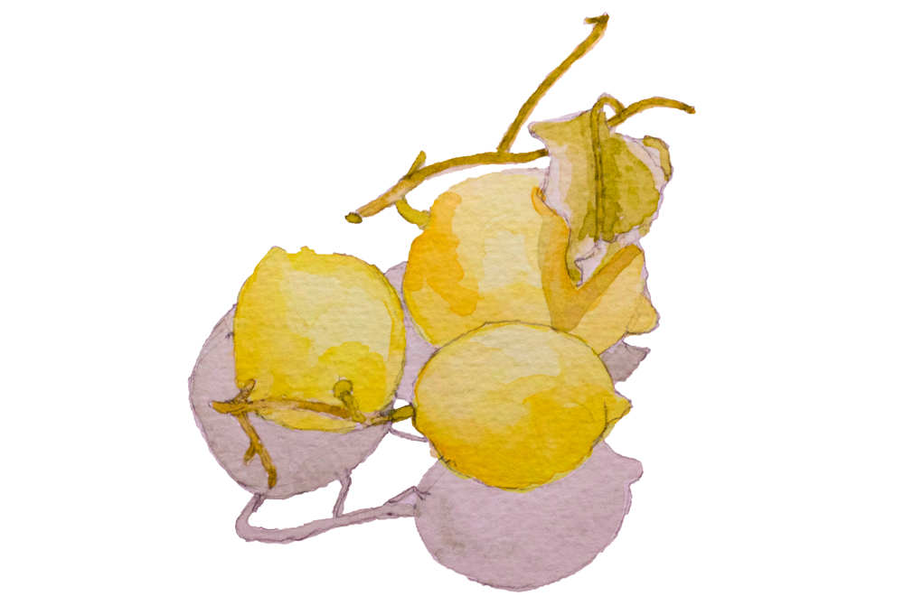 Amalfi Lemons for Silvana de Soissons of The Foodie Bugle, Artisan Food | Fabulous-Fabsters