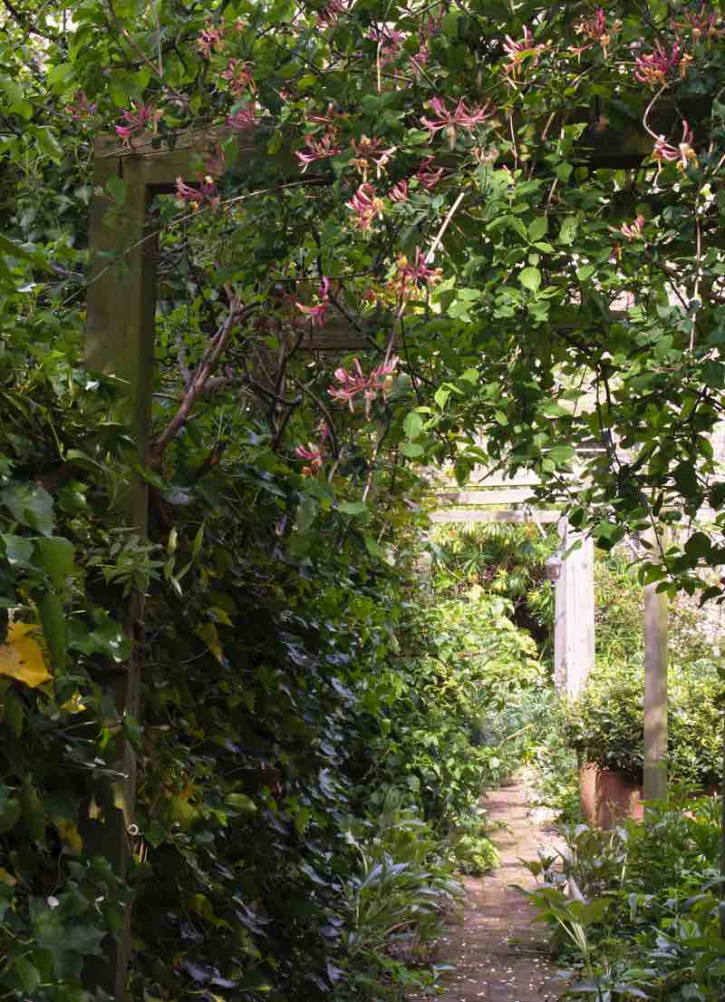 Garden Designer, Non-Morris, author of The Dahlia Papers, overall view of South London garden | Fabulous Fabsters