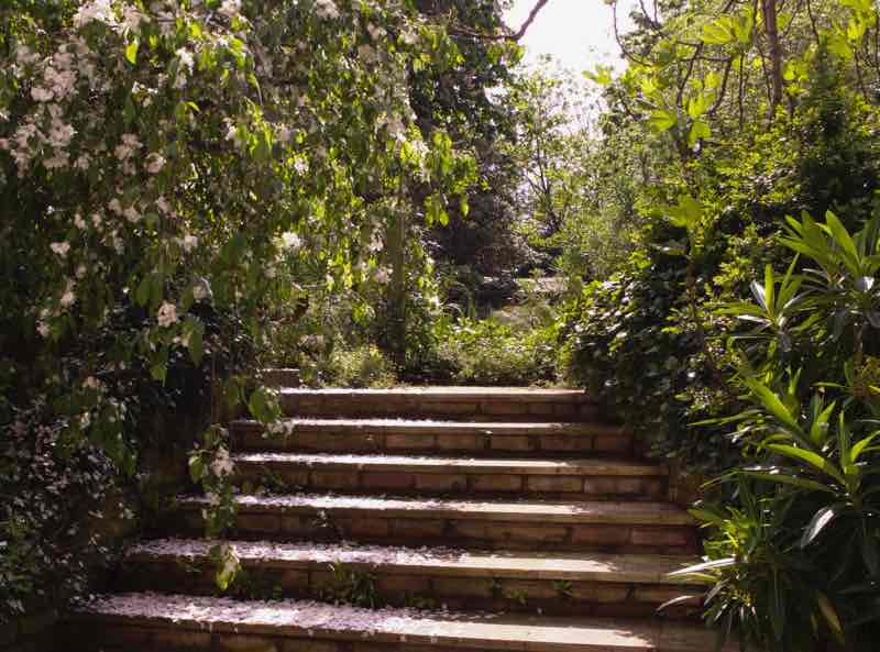 Garden Designer, Non-Morris, author of The Dahlia Papers, view up limestone steps | Fabulous Fabsters