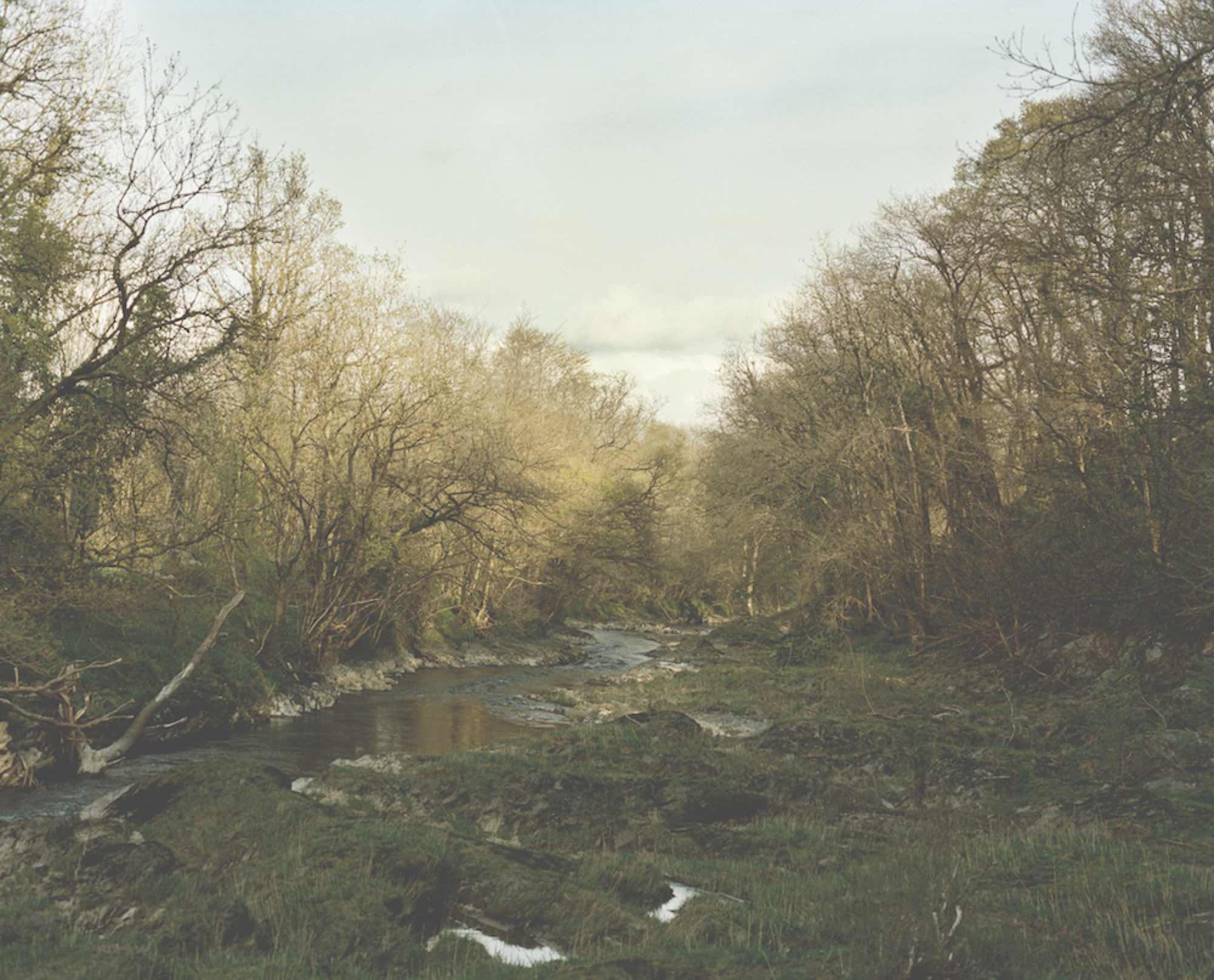 Cold water stream running through woods. Image for "Gather Cook Feast" by Jessica Seaton. Photo by Nick Seaton.