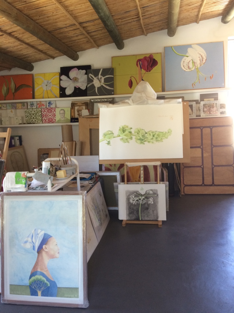 Art and the Environment: Sally Arnold — Fabulous Fabsters. Artist's Studio.