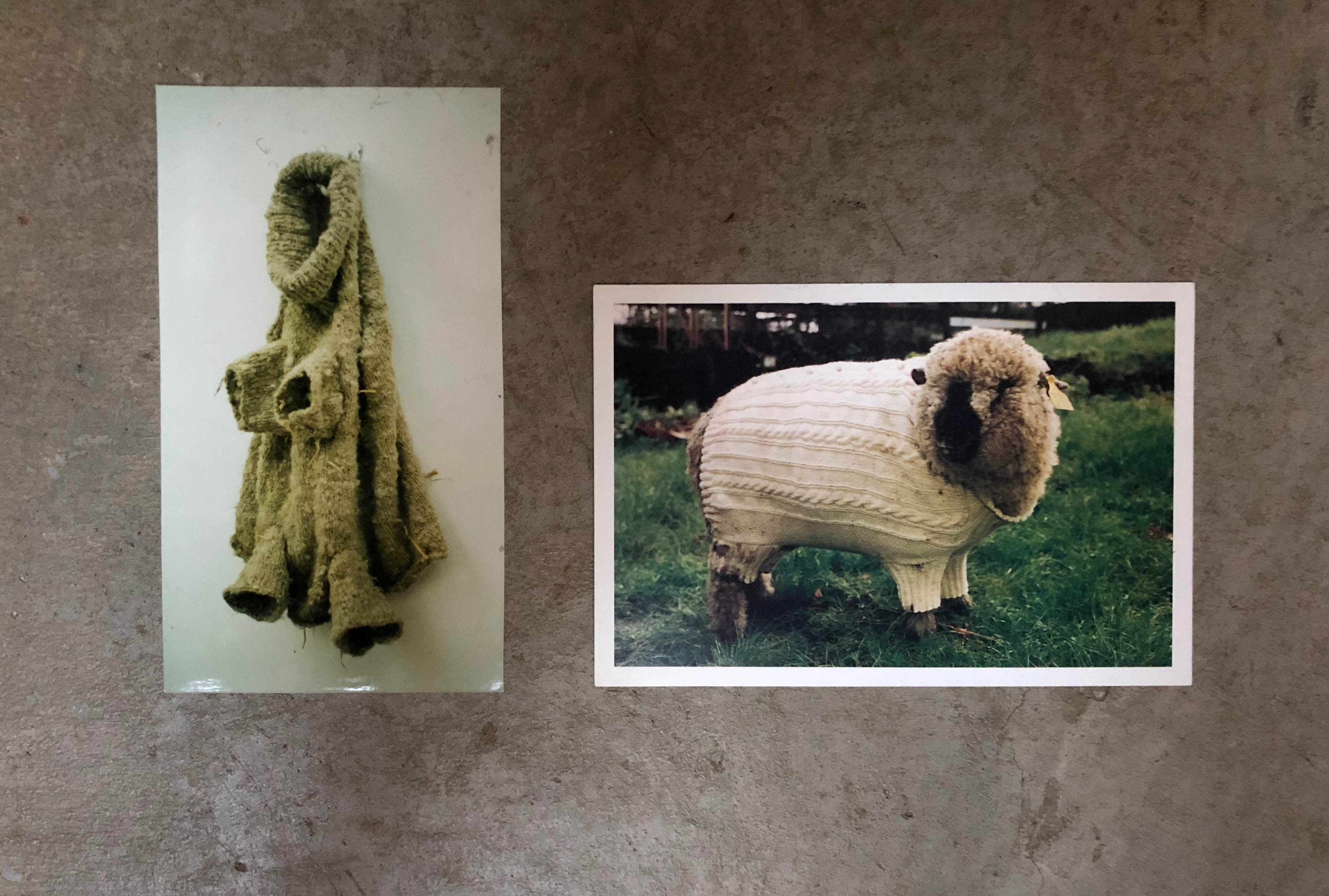Cecilie Telle, "It Bags", knitted wool jumper for a sheep